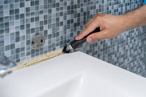 Best Kitchen Mold Remediation in Westwood, MI